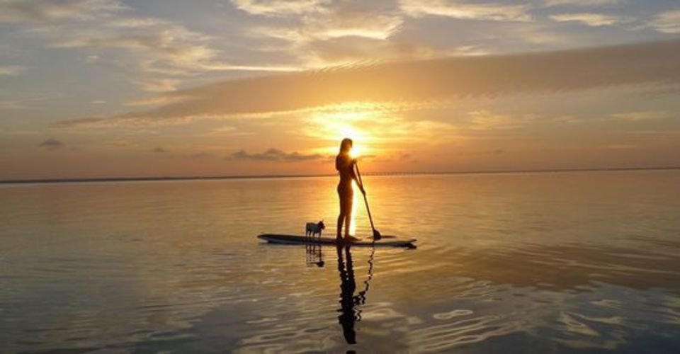 Fais de ta solitude une force !