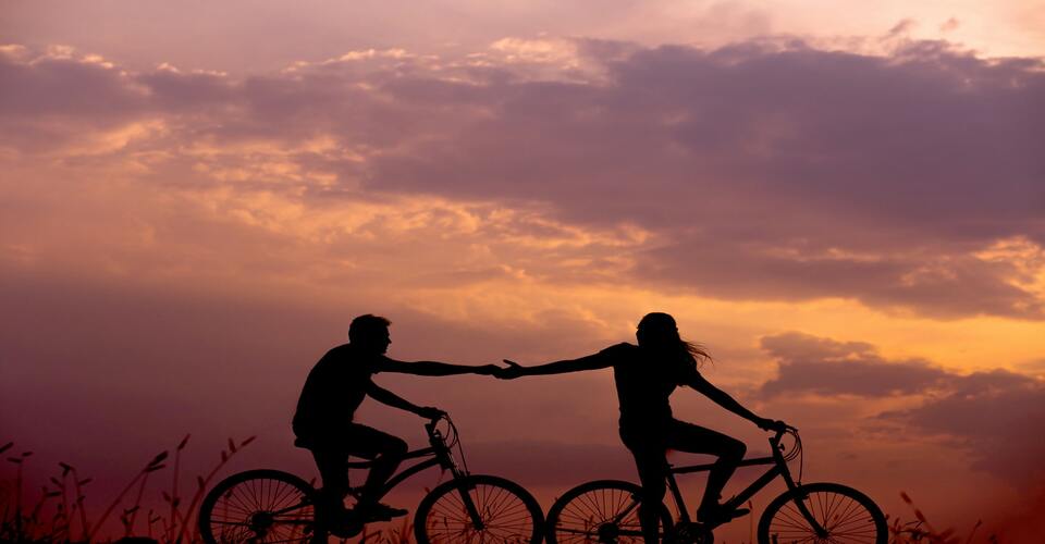 POURQUOI SE MET-ON EN COUPLE ? EST-CE NECESSAIRE D’ÊTRE EN COUPLE À PART POUR PROCRÉER ?