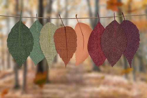 Dépression saisonnière : qu’est-ce que c’est et comment en sortir ?