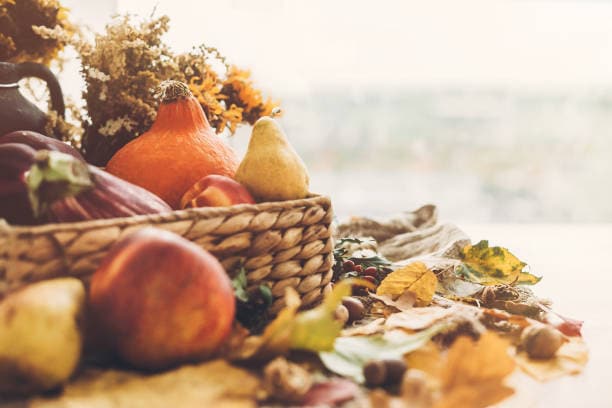Garder la pêche en automne : bilan des vitamines et aliments qui aident le corps