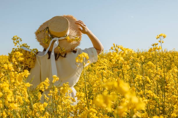 Le printemps, saison de la colère et de la mise en place