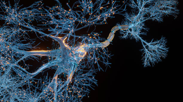 Ce qu’il se passe dans le cerveau quand on est sous drogues